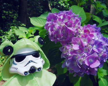 激萌星際大戰《穿著青蛙雨衣的機動步兵》稀哩稀哩嘩啦嘩啦雨下來了♪ 激萌星際大戰《穿著青蛙雨衣的機動步兵》稀哩稀哩嘩啦嘩啦雨下來了♪