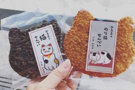 推特話題《貓仙貝》日本老舖仙貝店也發現大量喵星人入侵❤ 推特話題《貓仙貝》日本老舖仙貝店也發現大量喵星人入侵❤