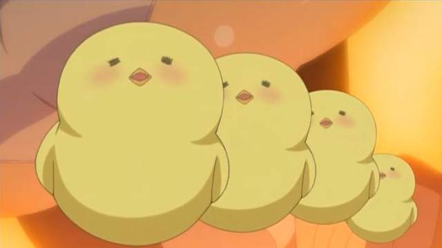 萬人守候《小雞孵化網路直播》無法破蛋而出好傷心……