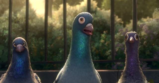 為什麼《在路邊看不到鴿子寶寶》?真相竟然是...... 為什麼《在路邊看不到鴿子寶寶》?真相竟然是......