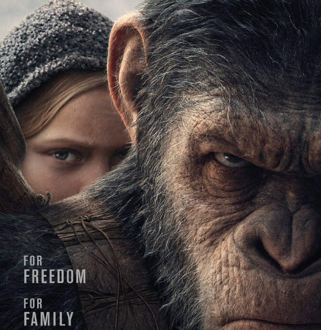 電影《猩球崛起 :終極決戰》戰火中猩猩軍隊裡的女孩是誰? 電影《猩球崛起 :終極決戰》戰火中猩猩軍隊裡的女孩是誰?