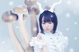 合法蘿莉《悠木碧宣告中止歌手活動》要專注把心力投入聲優工作? 合法蘿莉《悠木碧宣告中止歌手活動》要專注把心力投入聲優工作?