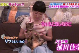 聲優植田佳奈《帶著3隻怪癖愛貓上電視》寵物竟然跟主人一樣會配音? 聲優植田佳奈《帶著3隻怪癖愛貓上電視》寵物竟然跟主人一樣會配音?