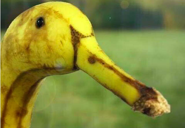 《讓人忍不住多看兩眼》的照片 其實都是因為巧合啊 《讓人忍不住多看兩眼》的照片 其實都是因為巧合啊