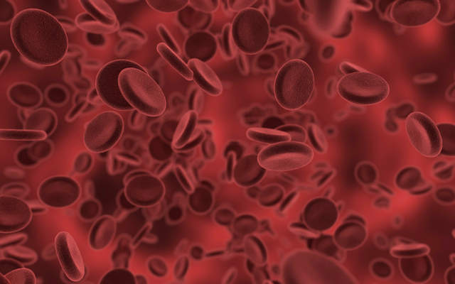 《血型科學》根本是O型血的大勝利！