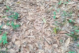 網路瘋傳《這張照片裡有蛇》也難怪真的要打草驚蛇了...... 網路瘋傳《這張照片裡有蛇》也難怪真的要打草驚蛇了......