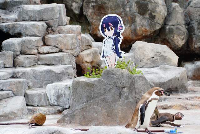 愛上二次元的朋友《整天盯著人形立牌的企鵝》有必要這樣歧視宅宅嗎……