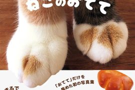 《貓手手寫真集》奶油小餐包般的可愛魅力ლ(╹ε╹ლ) 《貓手手寫真集》奶油小餐包般的可愛魅力ლ(╹ε╹ლ)