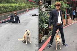 聲優王子《宮野真守》在台灣九份街頭跟冷淡的汪星人一起耍帥✰ 聲優王子《宮野真守》在台灣九份街頭跟冷淡的汪星人一起耍帥✰