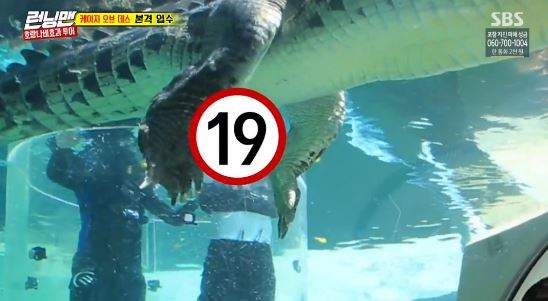 被說好像小辣椒《韓綜不小心拍到鱷魚的小GG》 鱷魚聽到一定會生氣的