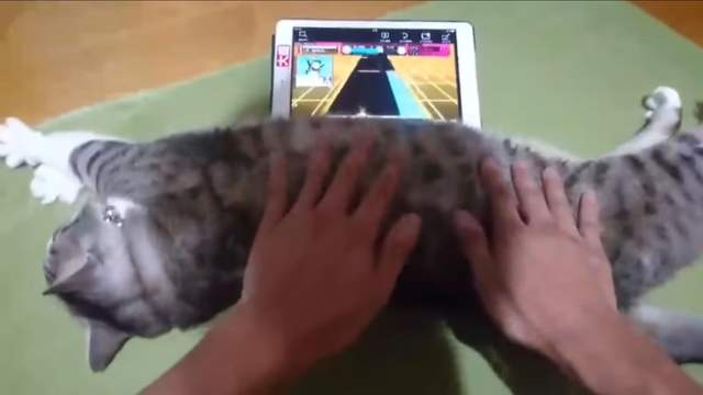 手感絕佳《網友自製貓咪音樂遊戲機台》這毛茸茸的舒適框體該去哪裡找? 手感絕佳《網友自製貓咪音樂遊戲機台》這毛茸茸的舒適框體該去哪裡找?