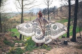 超夢幻的《蛾翼披風》給你一對夢想中的美麗翅膀 超夢幻的《蛾翼披風》給你一對夢想中的美麗翅膀