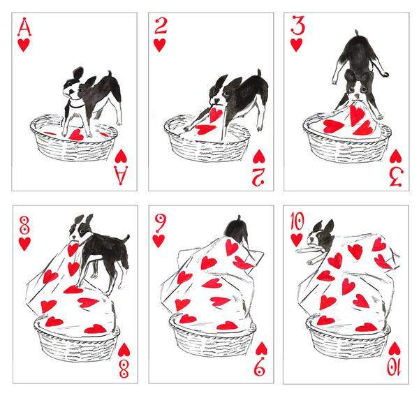 《狗狗撲克牌》快來數數牌面上有幾個肉球♥