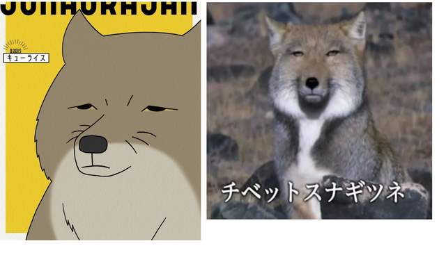 眼神死《藏狐爸爸砂岡》面無表情但內心溫柔的好好先生