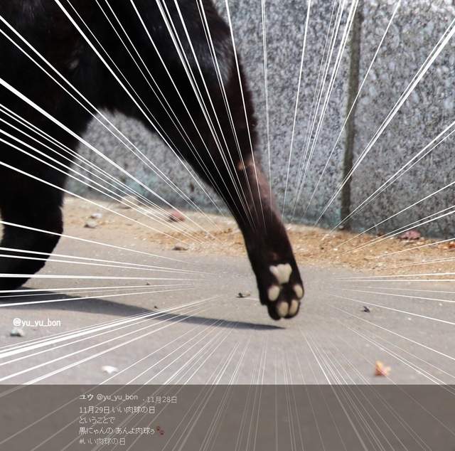 《好肉球之日》粉紅色的柔軟誘惑可惡想摸摸 《好肉球之日》粉紅色的柔軟誘惑可惡想摸摸