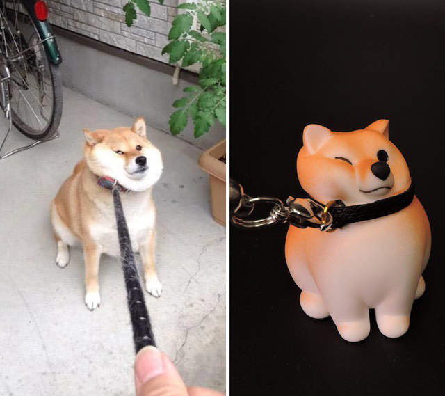 《拒絕散步的柴犬》可愛模型公仔剛開場沒多久就完售