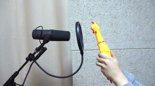 聽之前要有心理準備《尖叫雞當歌手唱流行樂給你聽》網友：夭壽吵的啦......