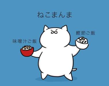 日本《貓飯》關東關西定義大不同 是說到底為什麼叫「貓飯」呢? 日本《貓飯》關東關西定義大不同 是說到底為什麼叫「貓飯」呢?
