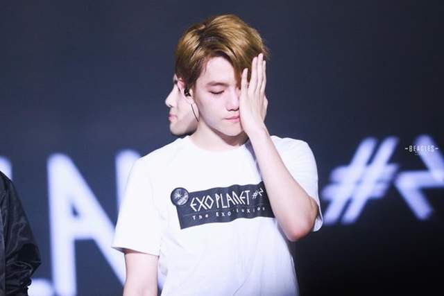 只希望走花路《粉絲最擔心偶像會遇到的事情》不管是哪一點都希望不要遇上阿...... 只希望走花路《粉絲最擔心偶像會遇到的事情》不管是哪一點都希望不要遇上阿......