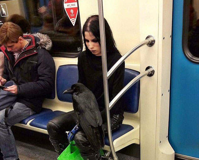 轟動推特《俄羅斯地鐵上的哥德女》在網路達成了夢幻共演