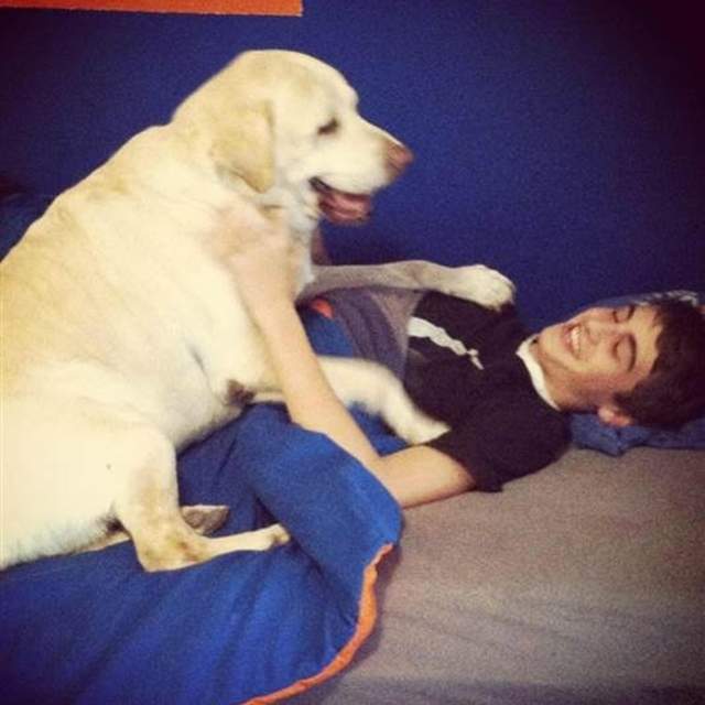 鼻酸《只吃一半飼料的狗》不是吃不下而是因為......