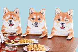 《柴犬收納抽屜架》完全再現貪吃狗狗爬上桌的可愛模樣❤ 《柴犬收納抽屜架》完全再現貪吃狗狗爬上桌的可愛模樣❤