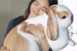 抱緊處理《等兔大抱枕》享受飼養大型兔兔抱滿懷的實感 抱緊處理《等兔大抱枕》享受飼養大型兔兔抱滿懷的實感