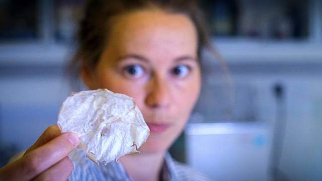 《水母脆片》原來海蜇皮可以變得洋芋片一樣！？