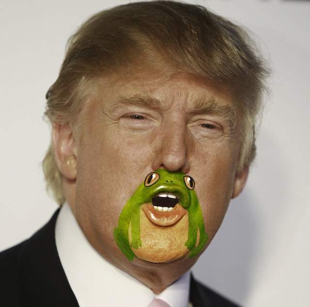 《惡搞川普青蛙嘴》超趣味PS看過之後就回不去惹