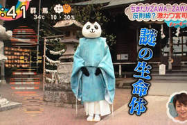 《日本神社出現熊貓宮司》超突兀景象引發推民瘋傳... 《日本神社出現熊貓宮司》超突兀景象引發推民瘋傳...