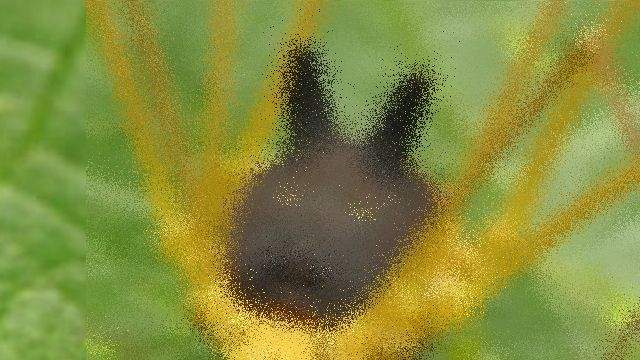 《寶可夢黑兔蜘蛛》Bunny Harvestman 意外發現有可愛的一面 《寶可夢黑兔蜘蛛》Bunny Harvestman 意外發現有可愛的一面