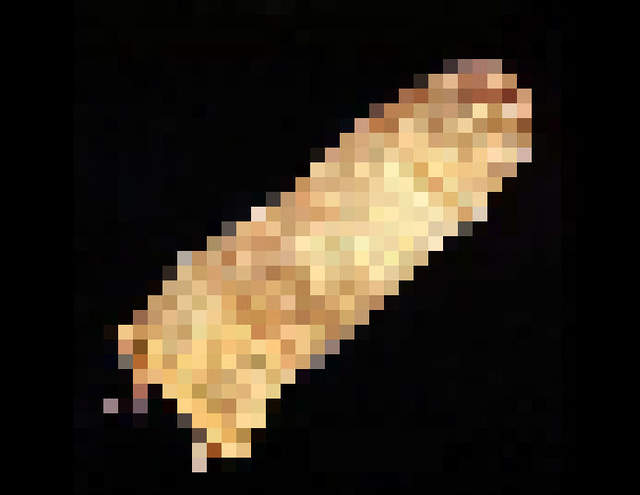 長知識《初代日常用品的樣貌》知道第一代保險套長怎麼樣嗎? 長知識《初代日常用品的樣貌》知道第一代保險套長怎麼樣嗎?