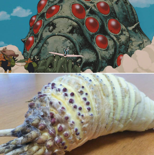 閱覽注意《剝竹筍變王蟲》啦、啦啦啦～啦啦啦～♪