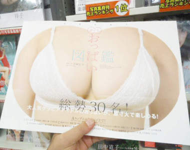 《原吋大歐派圖鑑》攤開書頁超壯觀絕景就在你眼前 《原吋大歐派圖鑑》攤開書頁超壯觀絕景就在你眼前