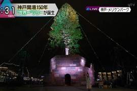 炎上《世界最高活的聖誕樹》挖樹齡150年巨木當聖誕樹引發日本網友批判 炎上《世界最高活的聖誕樹》挖樹齡150年巨木當聖誕樹引發日本網友批判