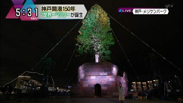 炎上《世界最高活的聖誕樹》挖樹齡150年巨木當聖誕樹引發日本網友批判 炎上《世界最高活的聖誕樹》挖樹齡150年巨木當聖誕樹引發日本網友批判