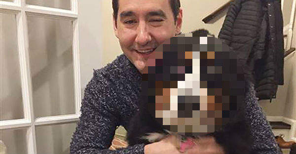 太逗趣《狗看到生日蛋糕的反應》飼主：光這反應年年都買蛋糕給你吃（笑）