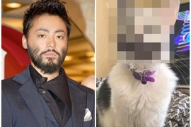 《如果山田孝之是喵星人一定長這樣》完全一致大爆笑引發瘋傳XD 《如果山田孝之是喵星人一定長這樣》完全一致大爆笑引發瘋傳XD