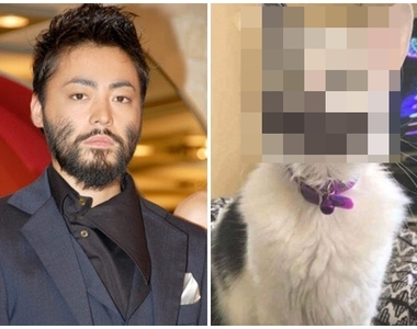 推特瘋傳《如果山田孝之是喵星人一定長這樣》完全一致大爆笑XD 推特瘋傳《如果山田孝之是喵星人一定長這樣》完全一致大爆笑XD
