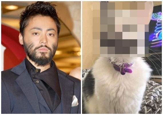 《如果山田孝之是喵星人一定長這樣》完全一致大爆笑引發瘋傳XD 《如果山田孝之是喵星人一定長這樣》完全一致大爆笑引發瘋傳XD