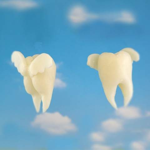 搞怪書店《牙齒相關周邊飾品》好像是牙齒愛好者協會的成員會喜歡感覺