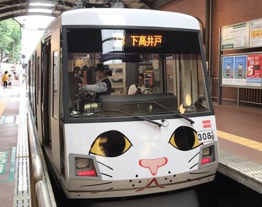 夠幸運才搭得到《招財貓電車》車廂內外都被滿滿的喵包圍(=^・^=) 夠幸運才搭得到《招財貓電車》車廂內外都被滿滿的喵包圍(=^・^=)