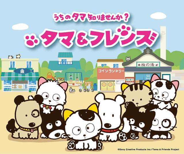 獸耳控歡喜?《淘氣貓 喵喵三丁目》擬人or動物型態選哪個 獸耳控歡喜?《淘氣貓 喵喵三丁目》擬人or動物型態選哪個