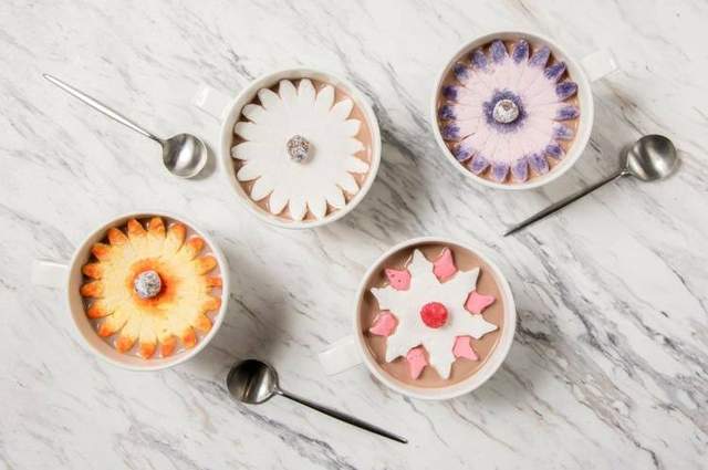 《綻放的棉花糖》讓你在冷冷的冬天也可以看見棉花糖花的美