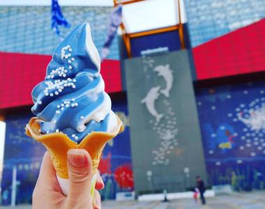 大阪海游館推出《鯨鯊冰淇淋》一口吃進海洋的味道 大阪海游館推出《鯨鯊冰淇淋》一口吃進海洋的味道