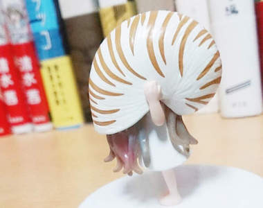 《貝殼少女轉蛋》可愛又有點古怪的設計讓人愛不釋手 《貝殼少女轉蛋》可愛又有點古怪的設計讓人愛不釋手