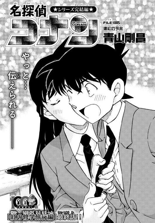 名偵探柯南《終於得到官方承認小蘭是新一的女朋友》啊啊～甜到蛀牙了啦（灑花）