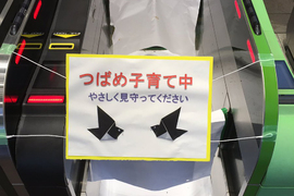 《為了燕子窩封閉閘門票口》日本車站的糾~感心神對應 《為了燕子窩封閉閘門票口》日本車站的糾~感心神對應