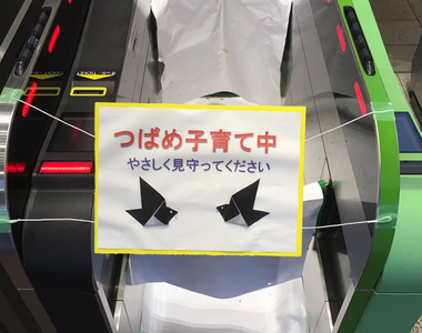 《為了燕子窩封閉閘門票口》日本車站的糾~感心神對應 《為了燕子窩封閉閘門票口》日本車站的糾~感心神對應