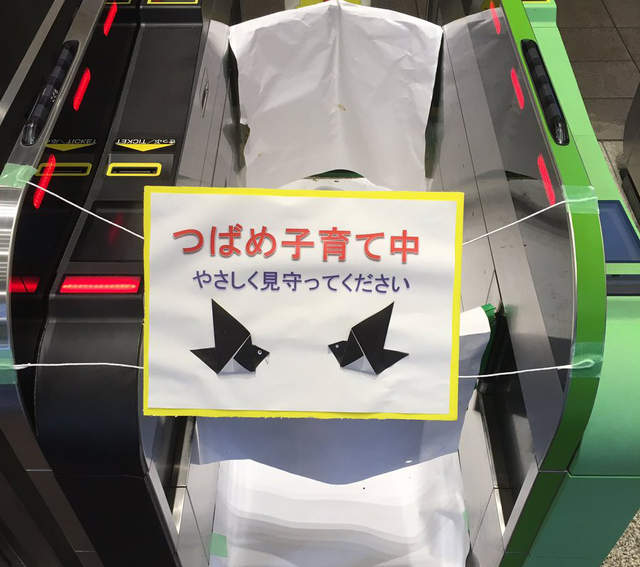 《為了燕子窩封閉閘門票口》日本車站的糾~感心神對應 《為了燕子窩封閉閘門票口》日本車站的糾~感心神對應